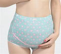 100% Cotton High Waist Antibiotic Maternity Underwear Panties Maternity Panties  2