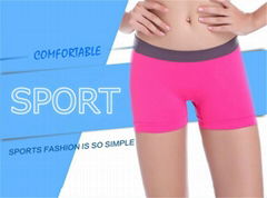 Woman Fitness Sports Training Shorts Dry Female Stretch Running Short Pants Sexy