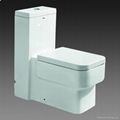 Top Elite Toilet With UF Cover And