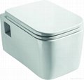 Duraviter Quality Wall hung Toilet