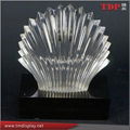 Customized Clear Acrylic Award Lucite Embedment Trophy 5