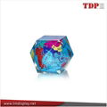 Acrylic Resin Global Paperweight For Gifts for souvenir