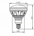 AkariMine 15W LED PAR light