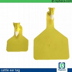 cattle plastic ear tag