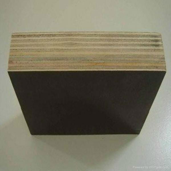 factory supply 15mm black film faced plywood for construction use  4