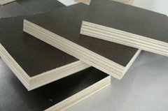 film faced plywood construction use 