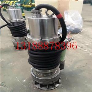 BQS礦用隔爆型排污排沙不鏽鋼潛水電泵 2