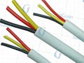 Best-Selling 0.3/0.5kv Used for Connectionroute Cable Wire 5