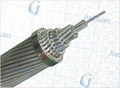 High Quality Steel Core Aluminum Wire Overhead Conductors 3