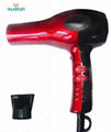 Professional Electric Hair Blower 2