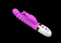 Rabbit Dildos Vibrator