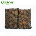 Pumice stone, Lave Stone 5
