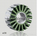 Customized Brushless DC motor stator and