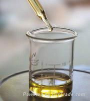 Eucalyptus Oil