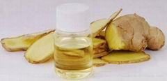 Ginger Oil