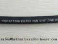 Hydraulic Hose 1