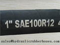 SAE J517 Type R12 Hydraulic Hose