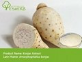 High quality of Konjac Extract
