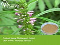 GMP grade Motherwort Extract