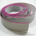 Ribbon Cable UL2651 AWG28 PH1.27 10PINS 1