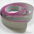 Ribbon Cable UL2651 AWG28 PH1.27 10PINS