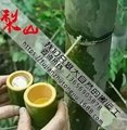 福建正宗原生态竹筒酒52度清香型