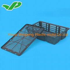 Crates Plastic Basket Cage for loading Abalone 