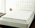 .BASE PPGS Used In Foam Sponge For Soft Furniture