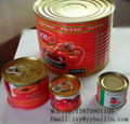 Jiangxi Bailin factory supply high quality canned tomato paste 1