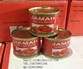 Jiangxi Bailin factory supply high quality canned tomato paste 2