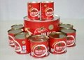 Jiangxi Bailin factory supply high quality canned tomato paste 3