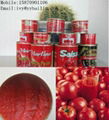 Chinese fresh red 28-30% hot sell canned