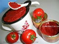 Delicious Seasoning Canned Tomato Paste with premium quality 2