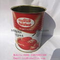 Low price canned tomato paste