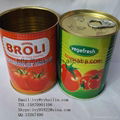 Low price canned tomato paste competitive price 2