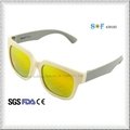 Promotion New Fashion Polarized Way Farer Design Sunglasses with Revo Lens 1