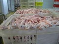 Grade A Chicken Paws and Feet approved for China and HK Shipment 2