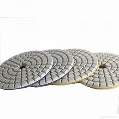 Diamond Polishing Pad