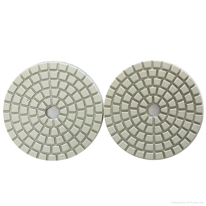 Diamond Polishing Pad 2