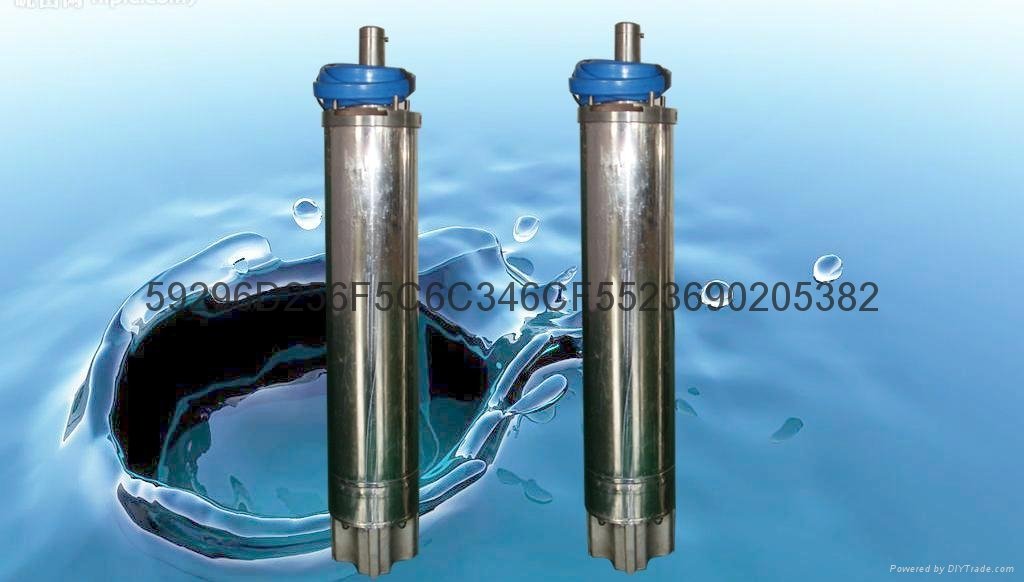 供应池用热水潜水泵 2