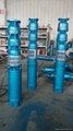 供應井用潛水電機臥式多級井用泵 3