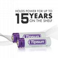 12 batteries AA Tipsun 1.5V 2900mAh FR6 AA lithium battery