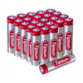 Wholesale factory price 36 PACK Tipsun 1.5V LR03 AAA No.7 Alkaline Battery 3
