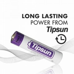 15 Years Shelf Life Tipsun 1.5V AAA FR03 L92 lithium battery