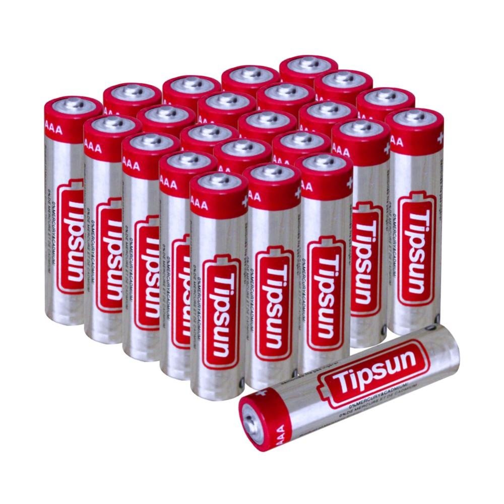24 Pack Mercury Free 1.5V AAA am4 LR03 Alkaline Battery