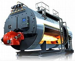 WNS Gas Oil Fired Steam Boiler