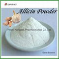 Allicin Powder