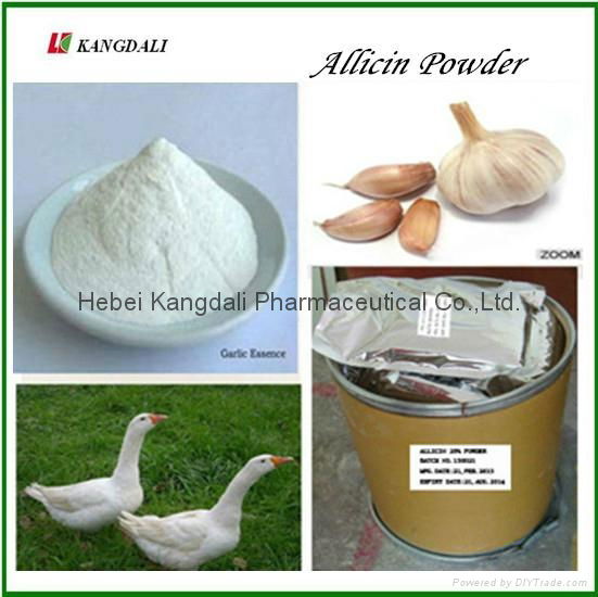 Allicin Powder 2