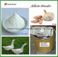 Allicin Powder 2