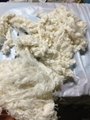 Cotton yarn  2